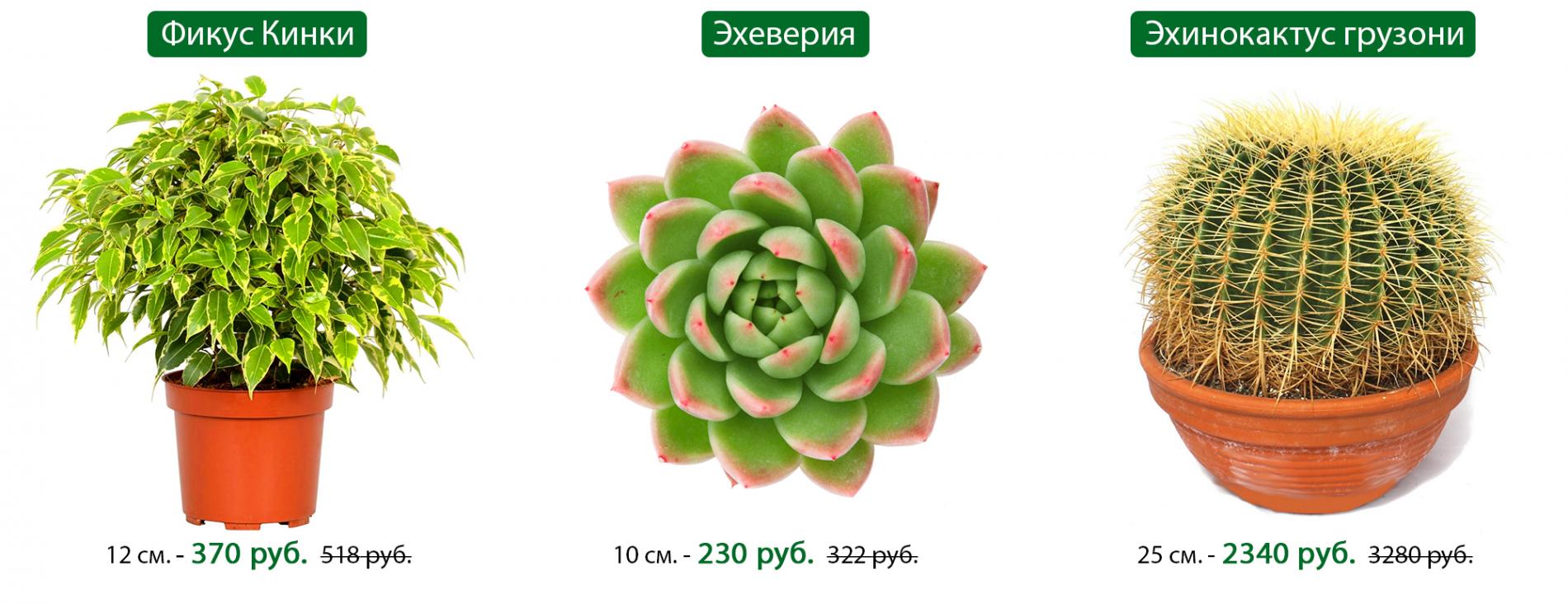 йкепротрпавыцф