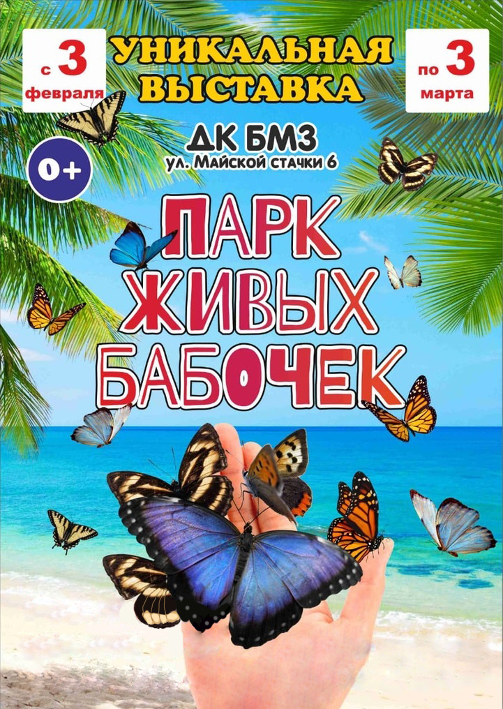 а