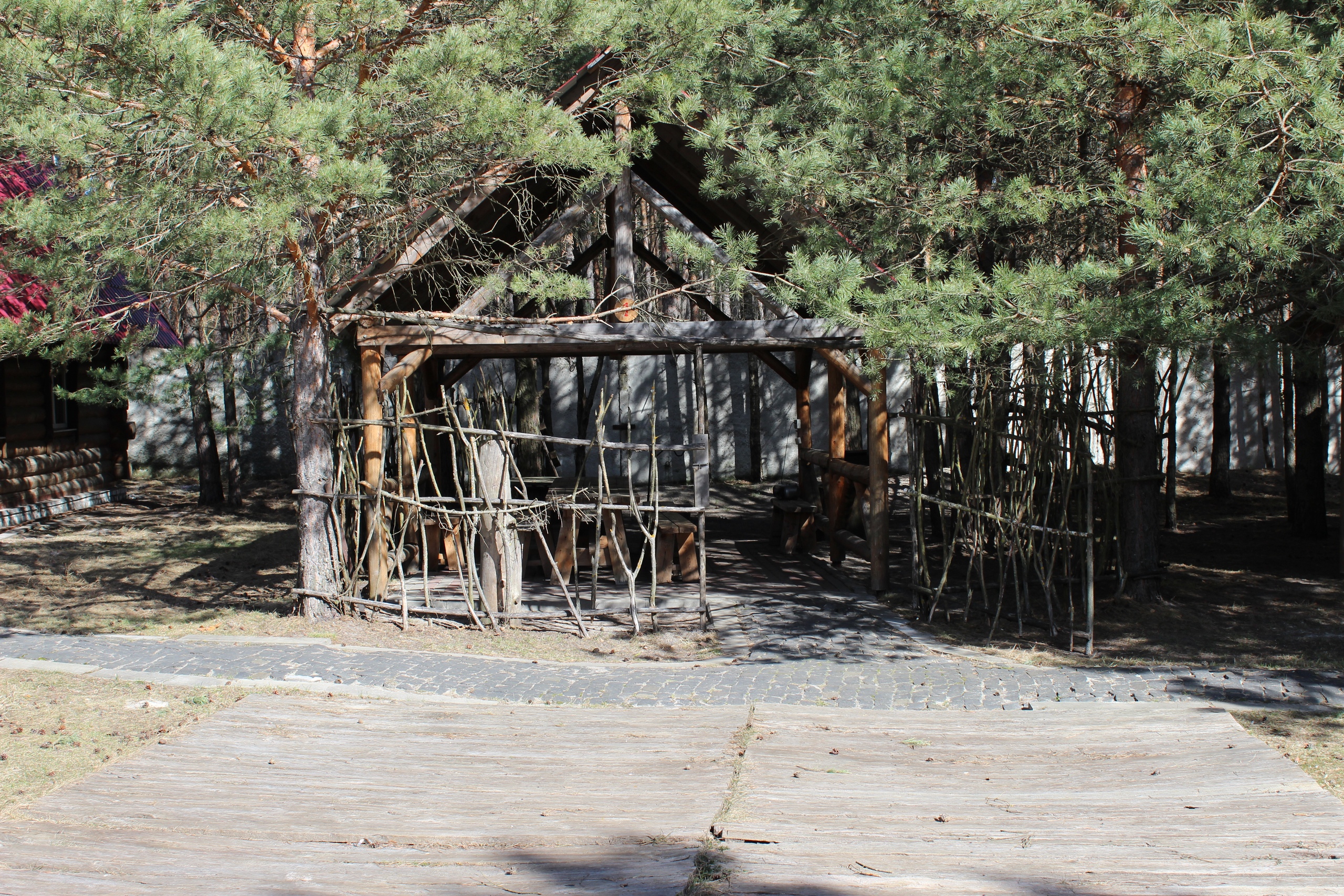 Лесной клуб