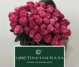 Карточка акции