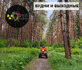 Карточка акции