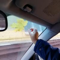Татьяна Ротенкова